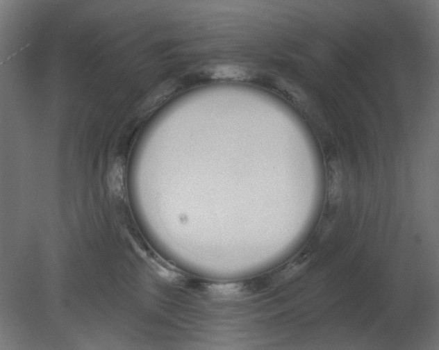 X0000080770281200701122103