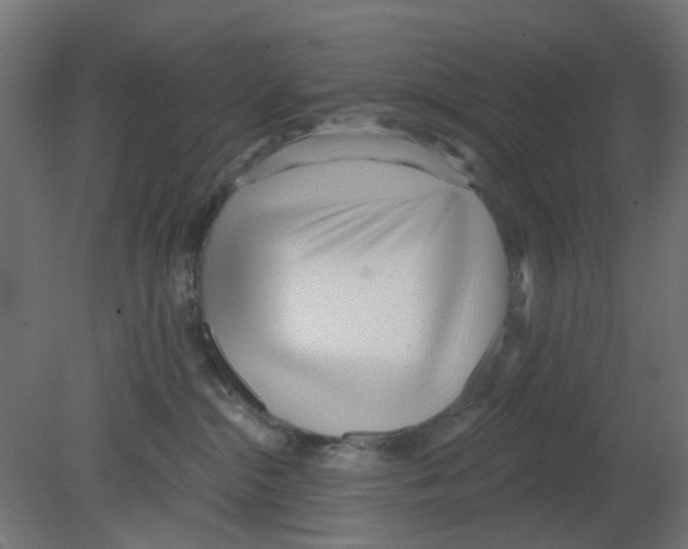 X0000080770284200701122103