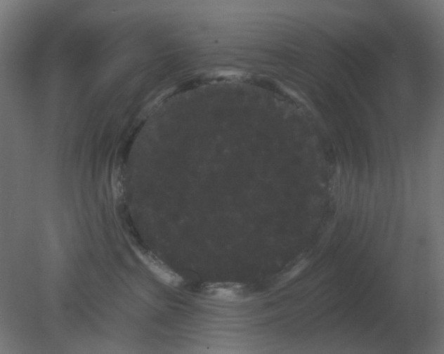 X0000080770285200701122103