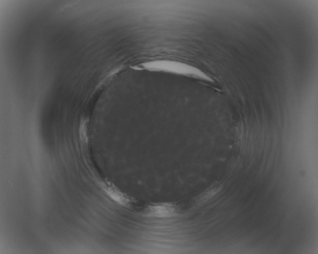 X0000080770286200701122103