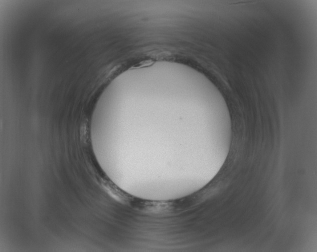 X0000080770288200701122103