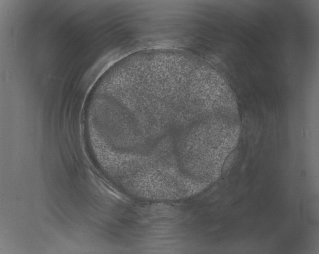 X0000080770290200701122103