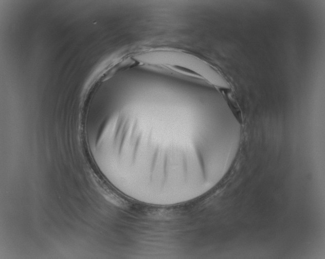 X0000080770293200701122103