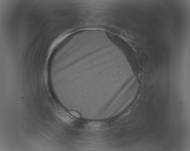X0000080770294200701122102