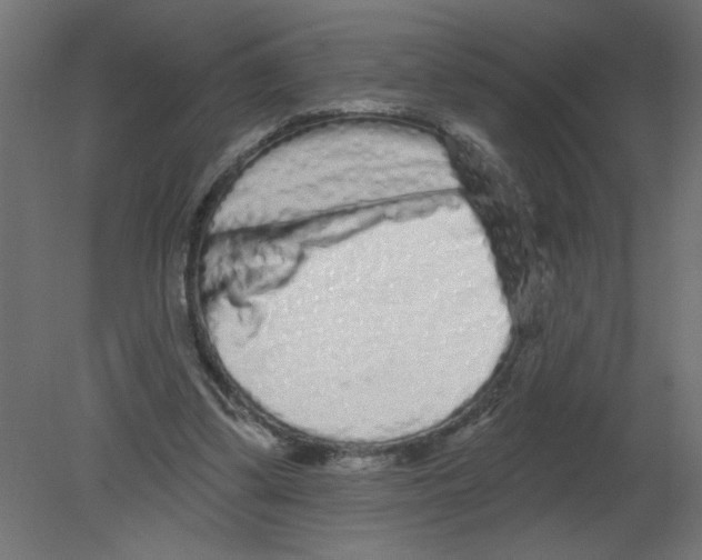 X0000080770299200701122102