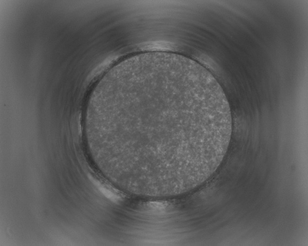X0000080770302200701122102