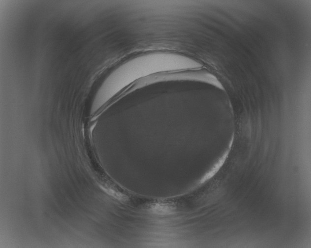 X0000080770303200701122102