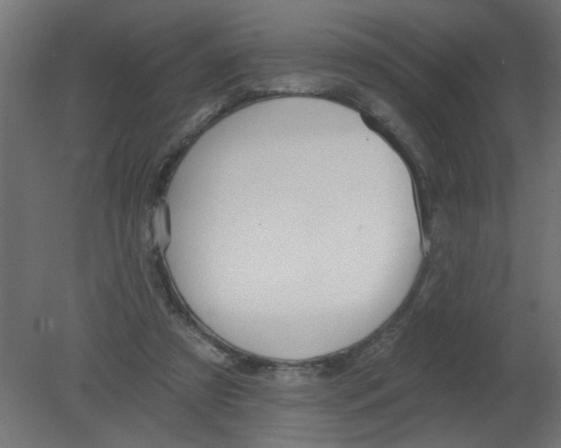 X0000080770305200701122102