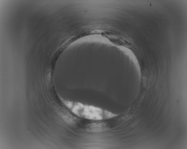 X0000080770314200701122102