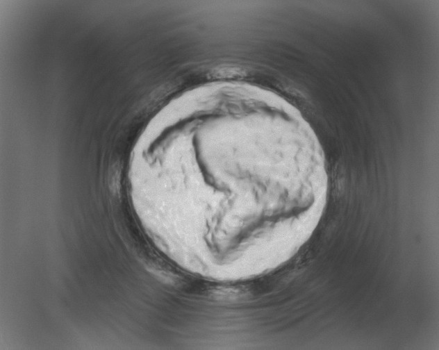 X0000080770315200701122102