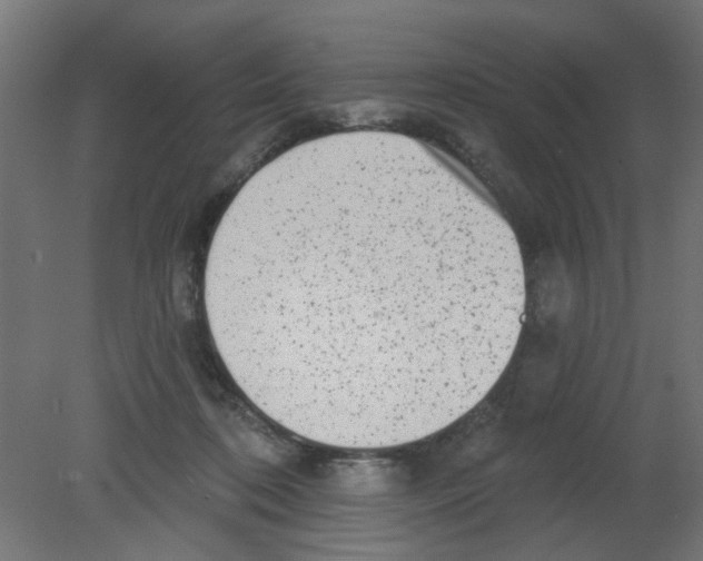 X0000080770316200701122102