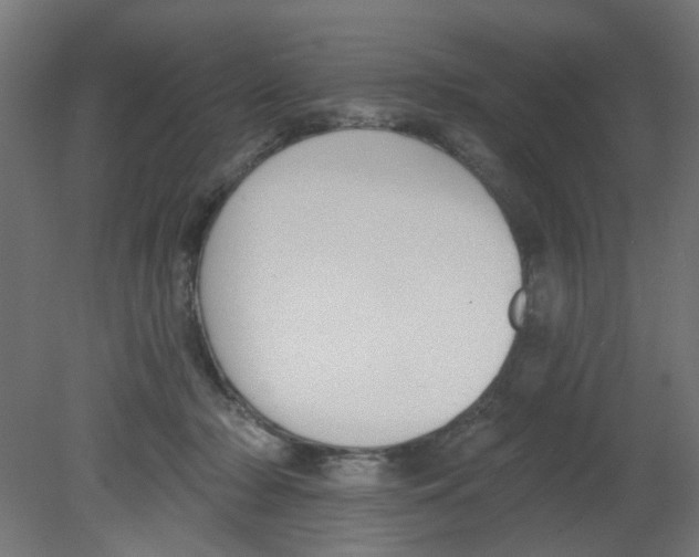 X0000080770318200701122102