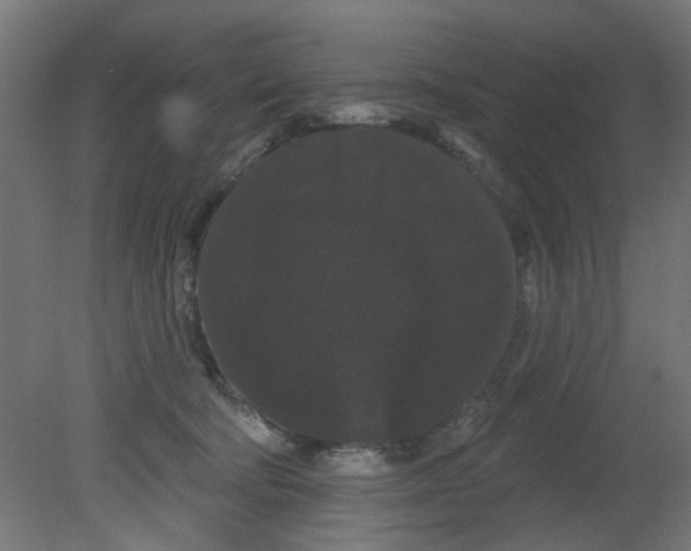 X0000080770322200701122102