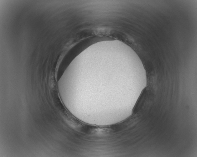 X0000080770323200701122102