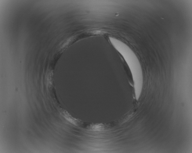 X0000080770325200701122102