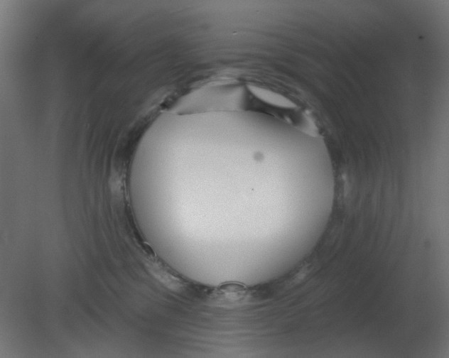 X0000080770329200701122102
