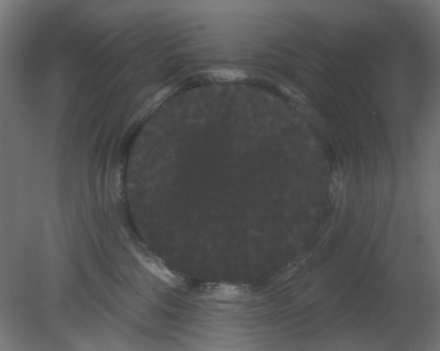 X0000080770330200701122102