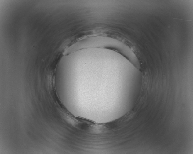 X0000080770333200701122102
