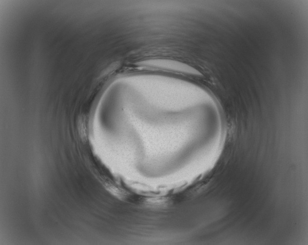 X0000080770335200701122102