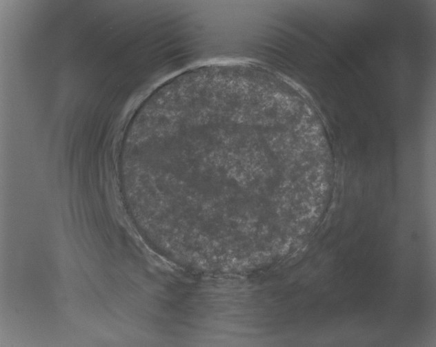 X0000080770337200701122101
