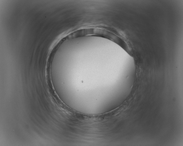 X0000080770340200701122101