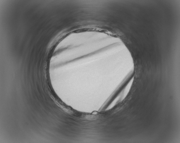 X0000080770341200701122101