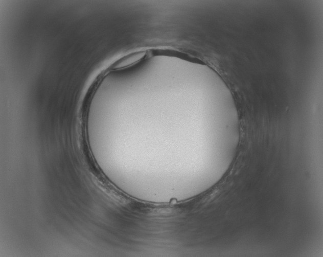 X0000080770342200701122101