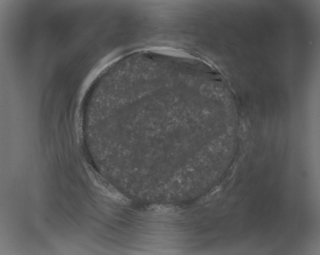 X0000080770343200701122101