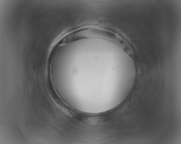 X0000080770344200701122101
