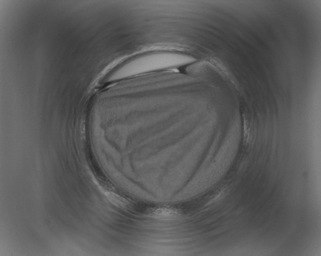 X0000080770348200701122101