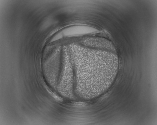 X0000080770349200701122101