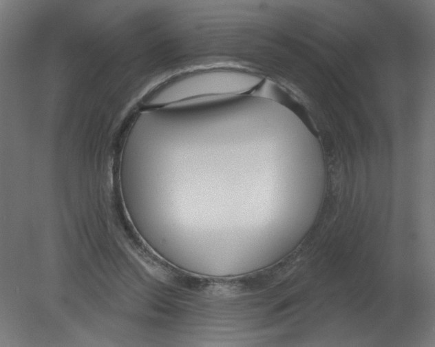 X0000080770350200701122101