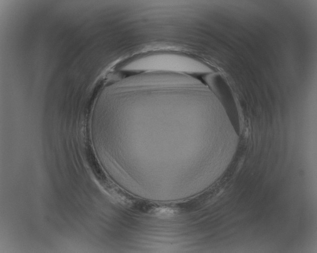 X0000080770352200701122101