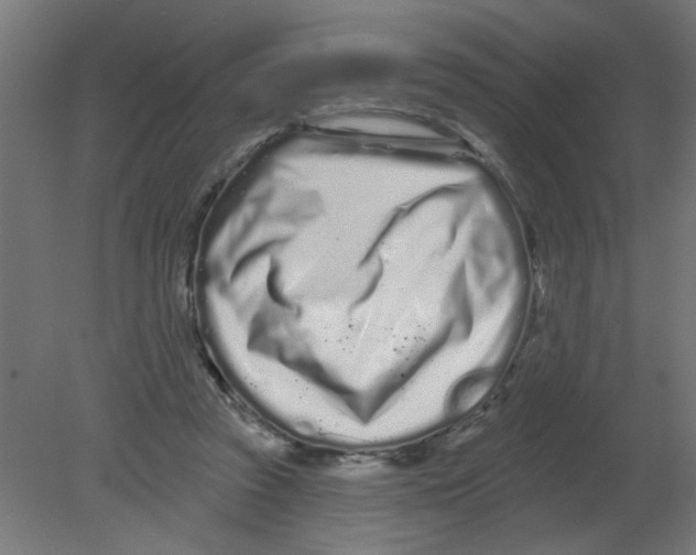 X0000080770353200701122101
