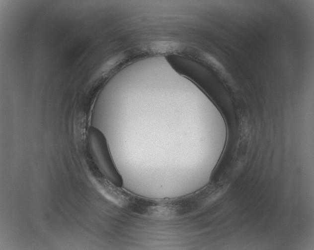 X0000080770356200701122101