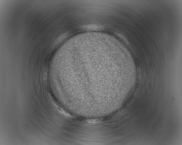 X0000080770357200701122101