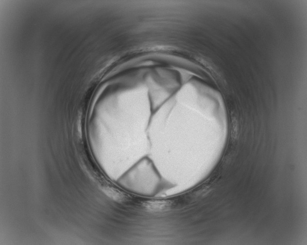 X0000080770358200701122101