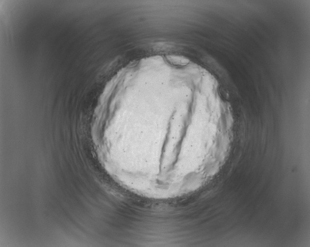 X0000080770361200701122101