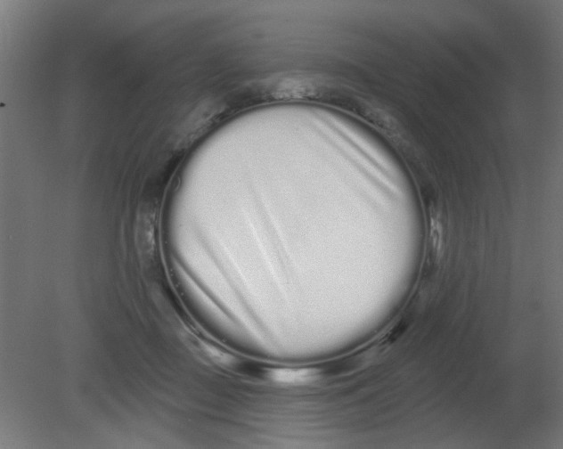 X0000080770363200701122101