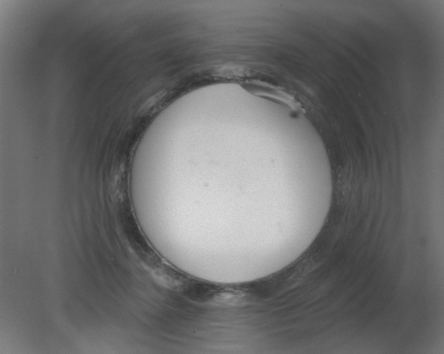 X0000080770364200701122101