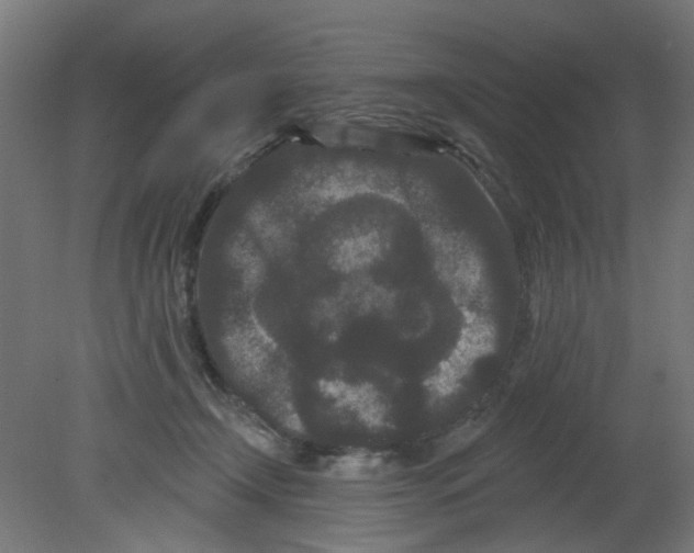 X0000080770366200701122101