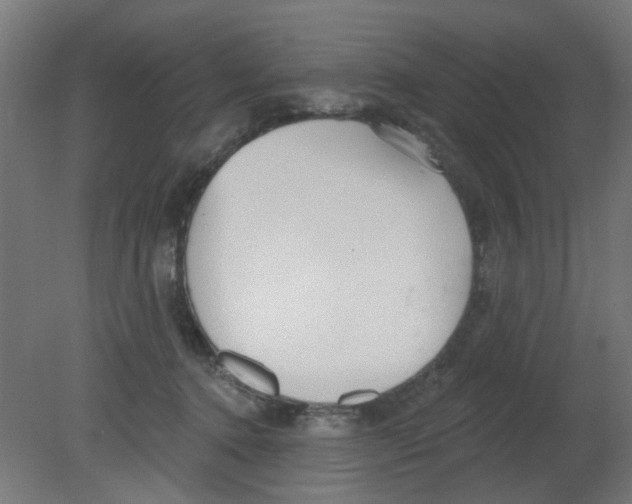X0000080770368200701122101