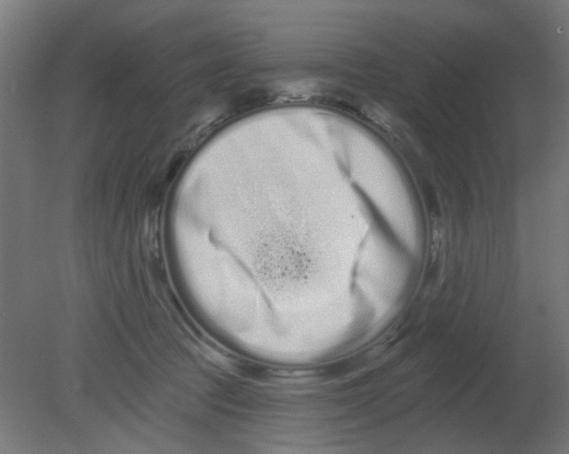 X0000080770369200701122102