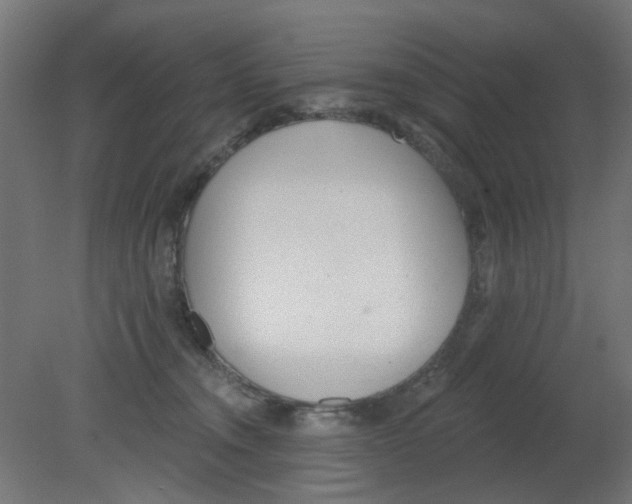 X0000080770372200701122102