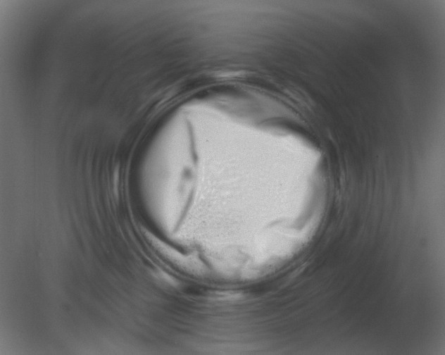 X0000080770377200701122102