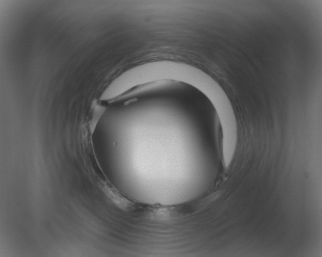 X0000080770382200701122102
