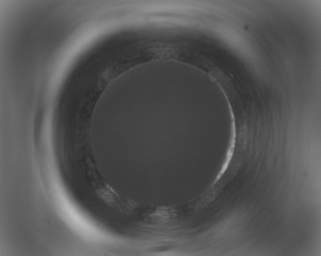 X0000080770383200701122102