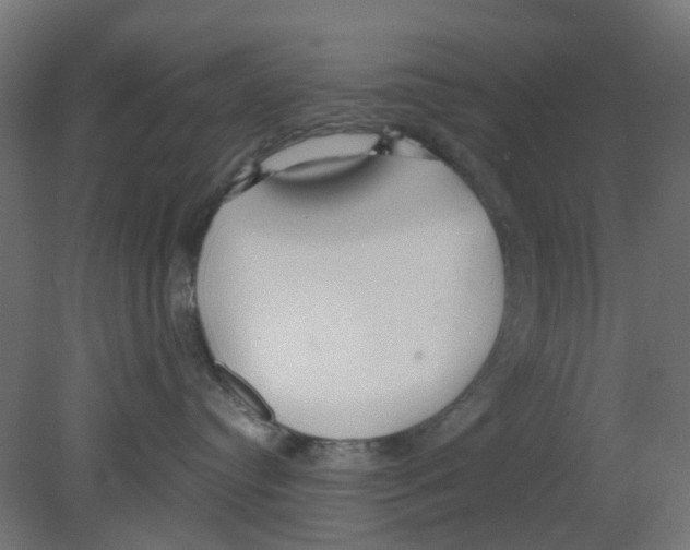 X0000080770384200701122102