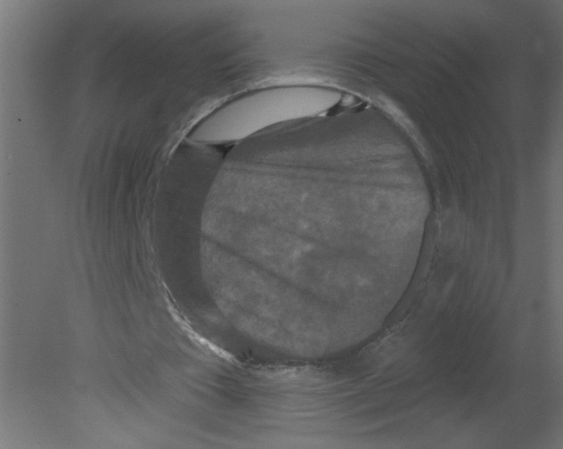 X0000080770385200701122101