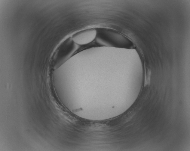 X0000080770387200701122101